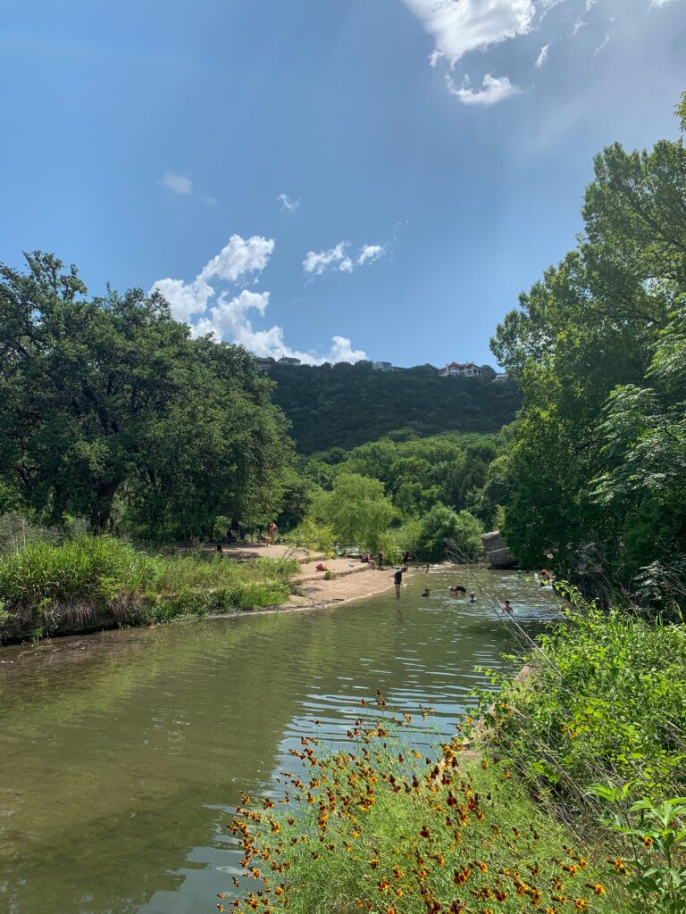 View of Bull Creek