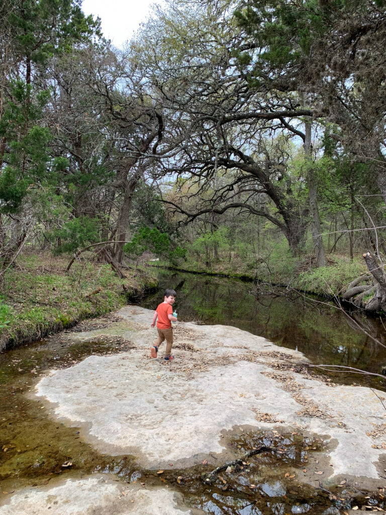 Creek at Mary Moore Searight Park