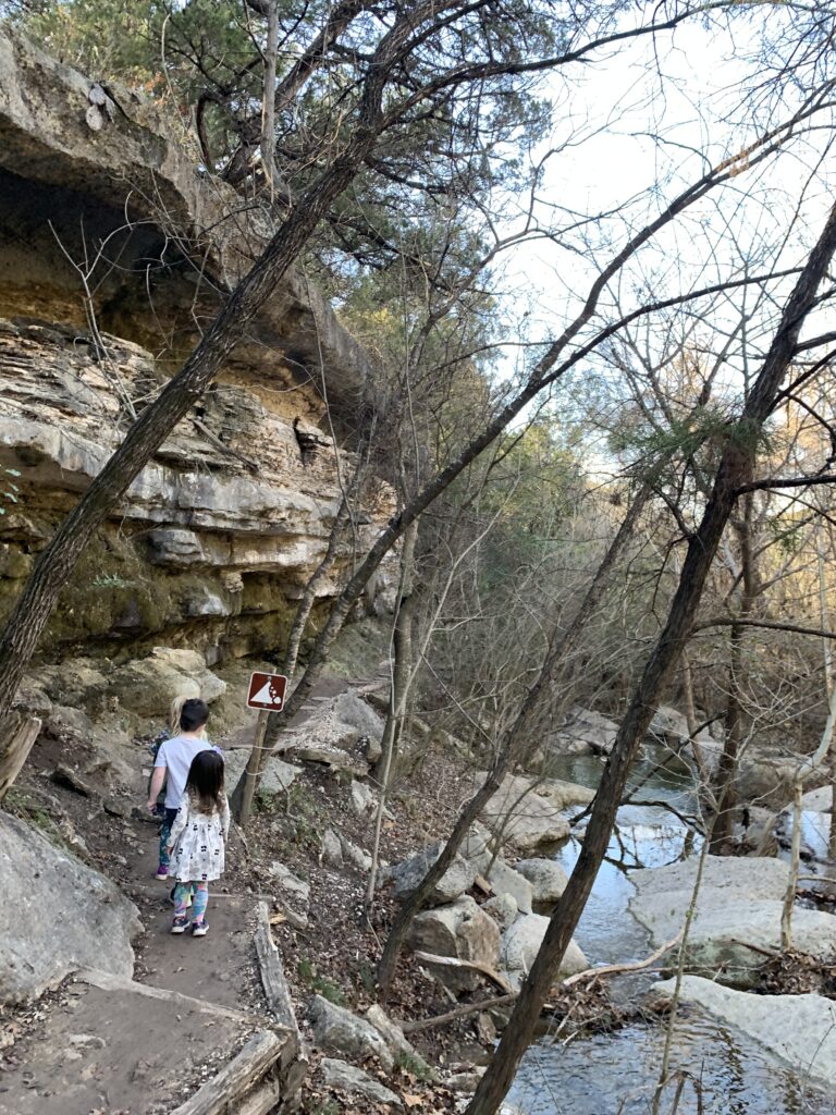 River Place Nature Trail Little Fern trail