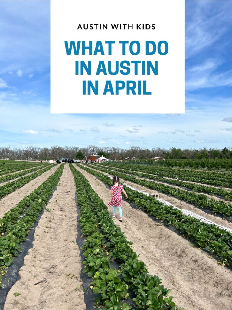 What to do in April