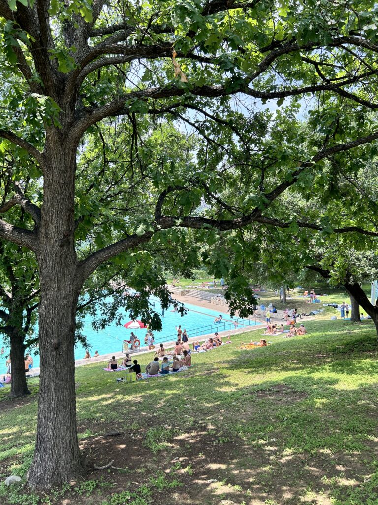 View of Deep Eddy Pool from the upper level