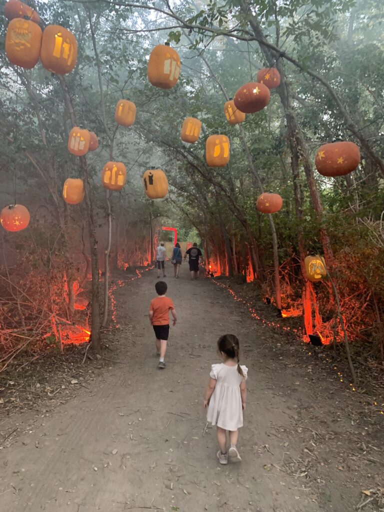 Harry Potter pumpkins at Pumpkin Nights