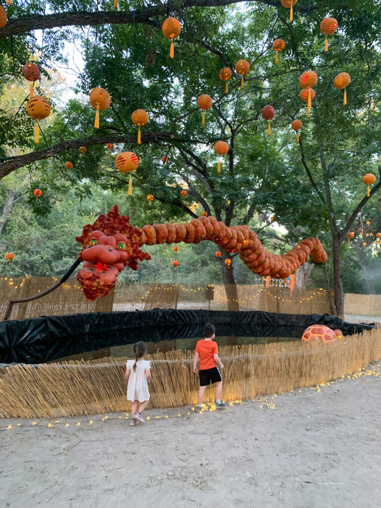 Dragon made out of pumpkins at Pumpkin Nights