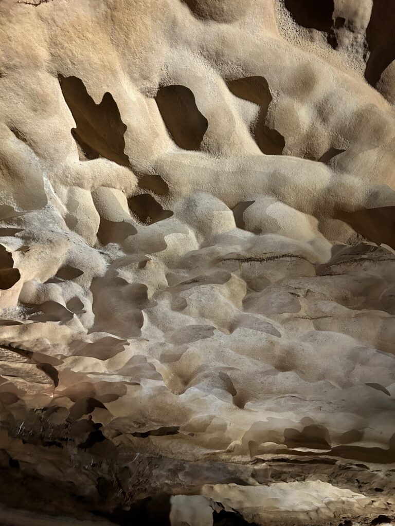 Scalloped ceiling in Inner Space Cavern