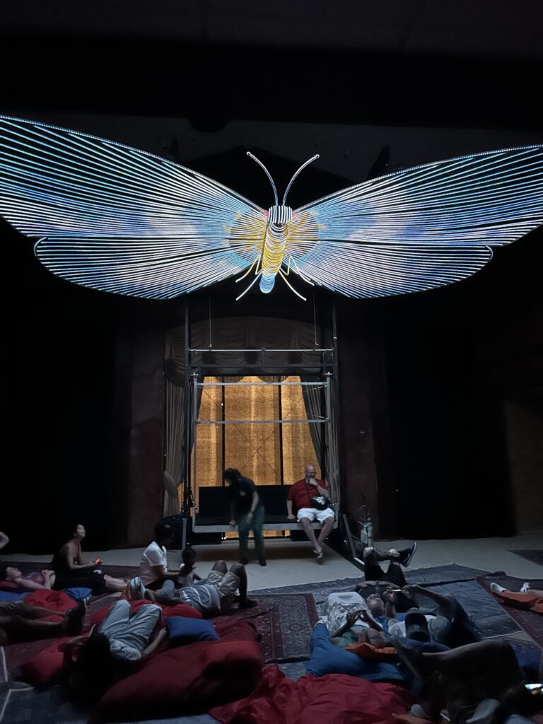 butterfly art installation